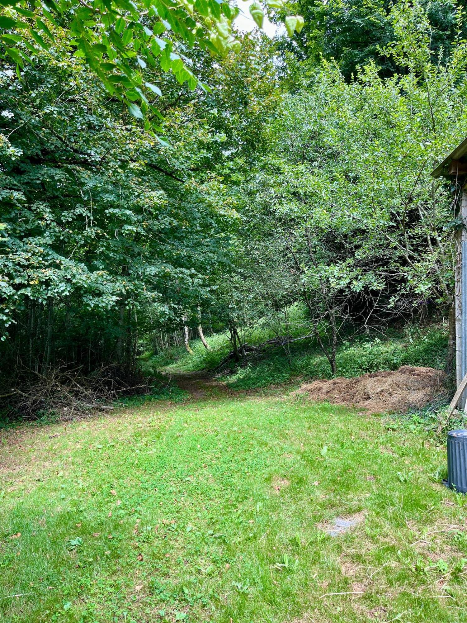 Parenthese En Foret - Lodge Baliveau Le Bez  Экстерьер фото